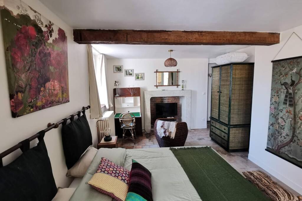 Amalouyse Studio De Charme Au Coeur Des Chateaux De Loire Монлюис-сюр-Лоар Екстериор снимка