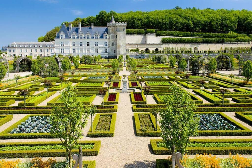 Amalouyse Studio De Charme Au Coeur Des Chateaux De Loire Монлюис-сюр-Лоар Екстериор снимка