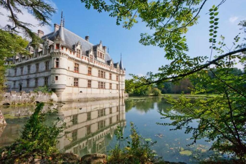 Amalouyse Studio De Charme Au Coeur Des Chateaux De Loire Монлюис-сюр-Лоар Екстериор снимка