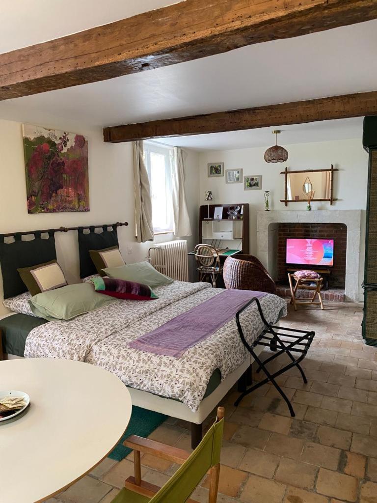 Amalouyse Studio De Charme Au Coeur Des Chateaux De Loire Монлюис-сюр-Лоар Екстериор снимка